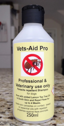 Advance flea and - advance,