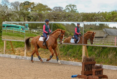 Dressage mirrors visual - dressage,